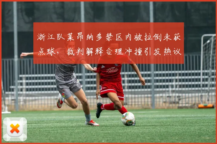 浙江队莱昂纳多禁区内被拉倒未获点球，裁判解释合理冲撞引发热议